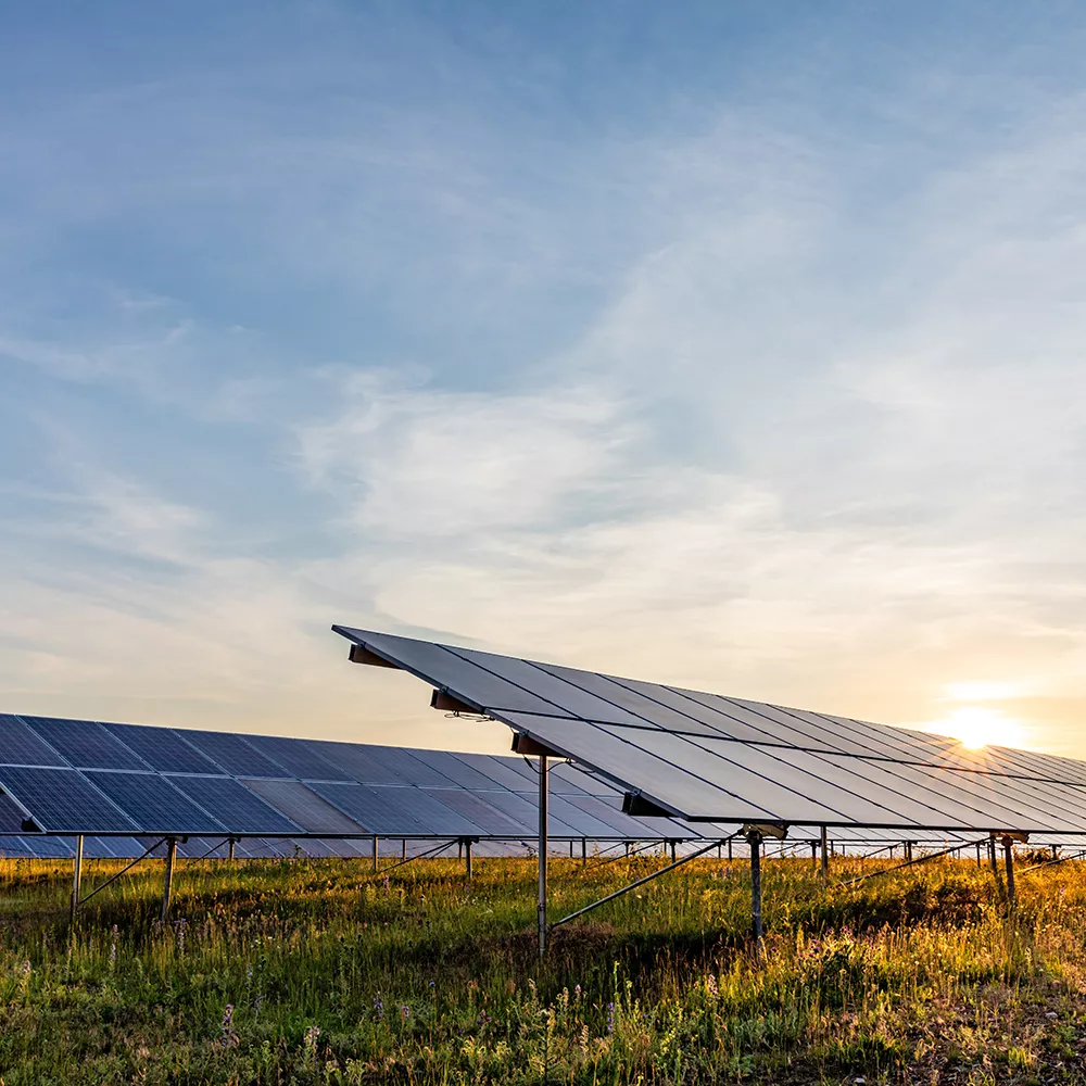 open field photovoltaic system with sunset in the background