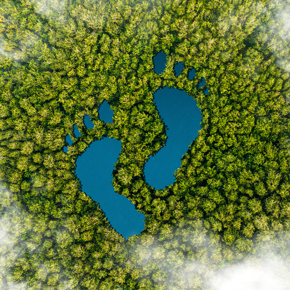 ecological footprint